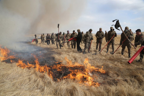 Ганцхан цог хэмжээлшгүй хохирол учруулдаг